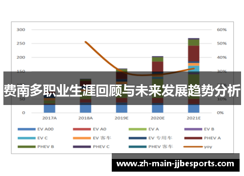 费南多职业生涯回顾与未来发展趋势分析